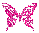 :animbutterfly: Discord Emote