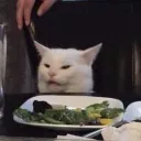 Confused Cat confused_cat Discord Emoji