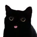 blep blep
