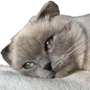 Nyxsleep