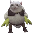 SCGshrek
