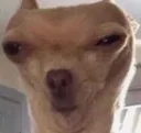 Huh Huh
