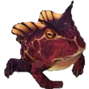 nitrotoad