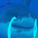 sadsharko