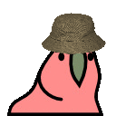 KibbutzParrot
