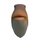 fartfish