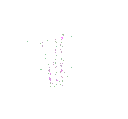 a_firework