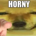C1_cheemsTEXThorny