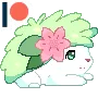shaymin