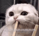 catemmmmm Discord Emoji
