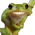 funnyfrog