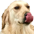 mlem