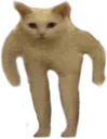 Bruno