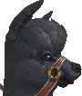 alpaca