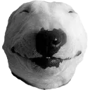happydoggo