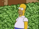 homerbush