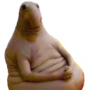 LUMP
