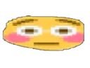 crashed_flush