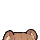 peek