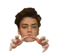 DaniVibe Discord Emoji