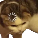 Cat Loading catloading Discord Emoji
