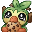 forgrookey