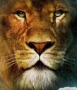 Maartensfavlion