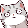 whutcat