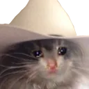 sadYeehaw