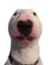 walter