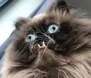 concern