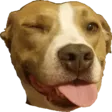 wagnusWink