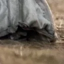 yoda_1_2