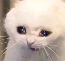 AAAAAA