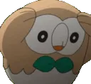 rowletbreakdownconcern