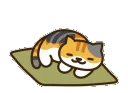 nekosleep