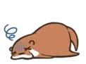 deadotter