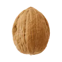 nut