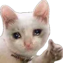 wealsogud