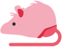 RatBrainSmooth
