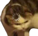 kittyloading Discord emoji