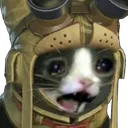 sad_catto