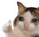 catokthen