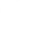 Monogon