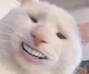 CatTroll
