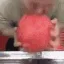 MA_Watermelon