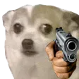 wtfgun
