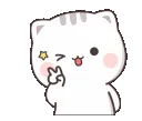 peacesign