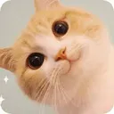 catkawayi Discord Emoji