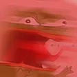 REEEEEEEEE REEEEEEEEE